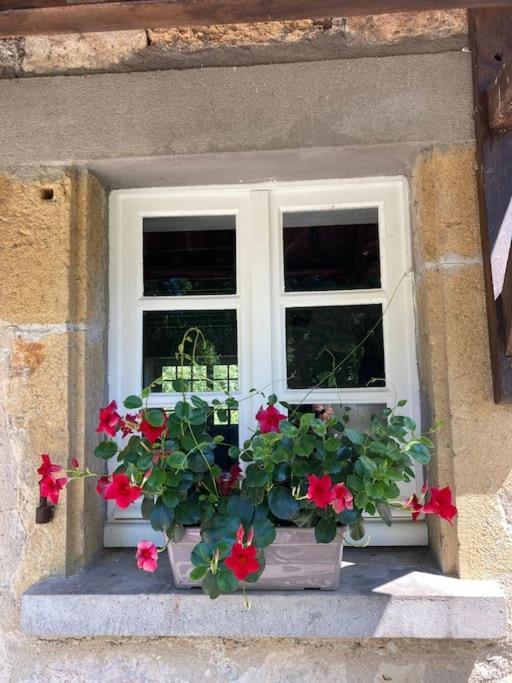 Vakantiehuis La Poire, Op Landgoed Aan De Dordogne Prudhomat Ngoại thất bức ảnh